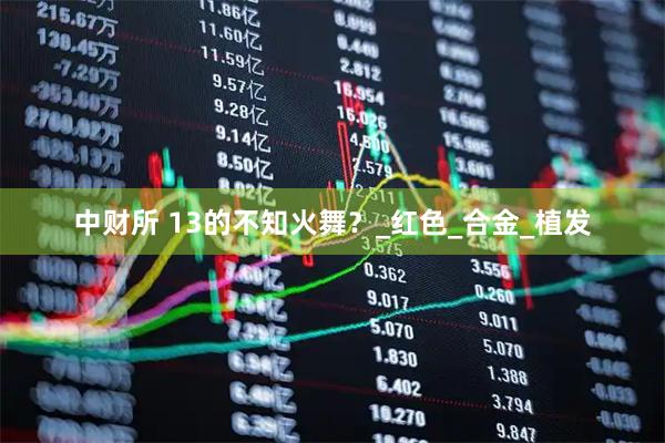 中财所 13的不知火舞？_红色_合金_植发