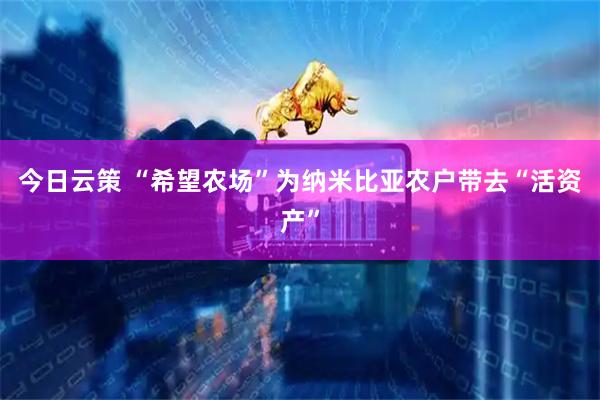 今日云策 “希望农场”为纳米比亚农户带去“活资产”