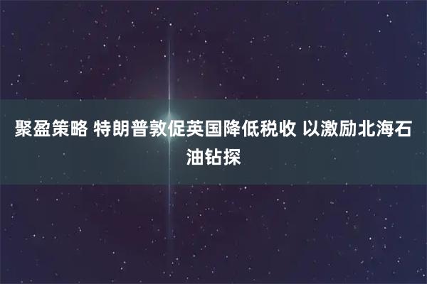 聚盈策略 特朗普敦促英国降低税收 以激励北海石油钻探
