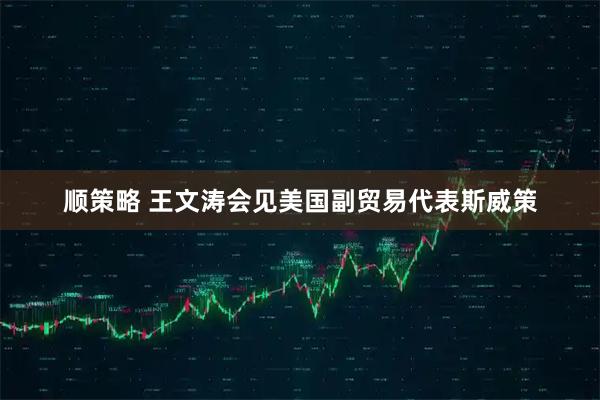顺策略 王文涛会见美国副贸易代表斯威策