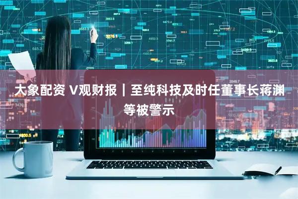 大象配资 V观财报｜至纯科技及时任董事长蒋渊等被警示