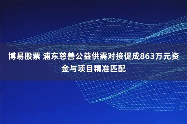 博易股票 浦东慈善公益供需对接促成863万元资金与项目精准匹配